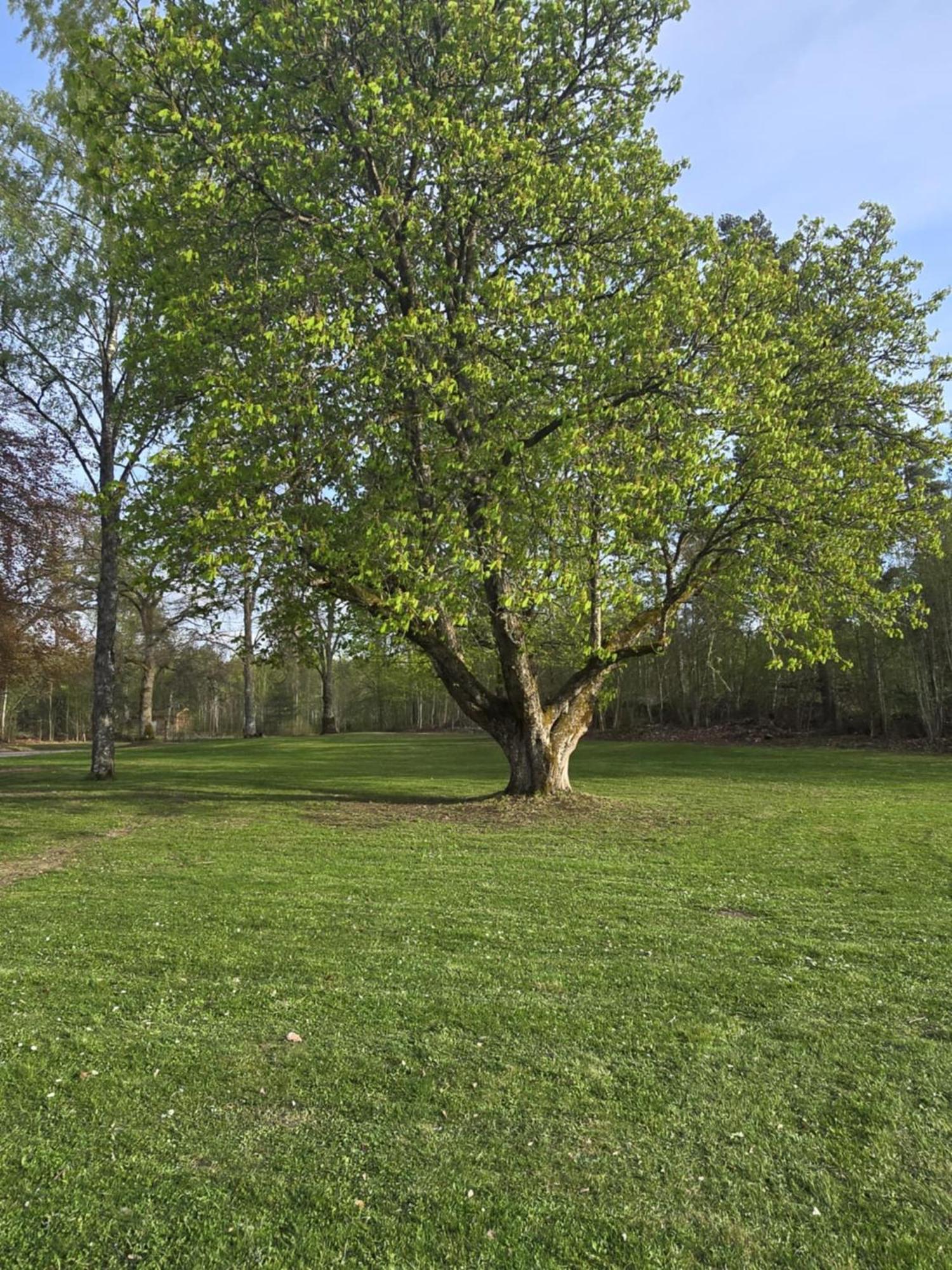 Stora Ekeberg Vandrarhem Axvall Dış mekan fotoğraf